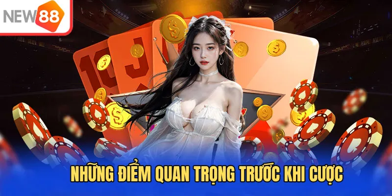Những điểm quan trọng trước khi cược tại NEW88.